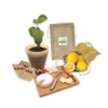 Eco-friendly Homeware & Lifestyle